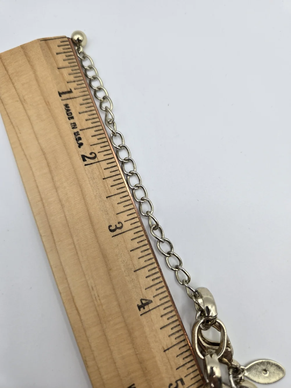 Chico's Long Tortoiseshell Gold Chain-Link Necklace Gold Tassels Bold Statement